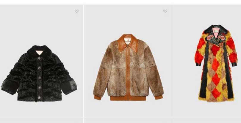 Schein oder Sein: Wie nachhaltig ist Gucci wirklich? Schein oder Sein: Wie nachhaltig ist Gucci wirklich?