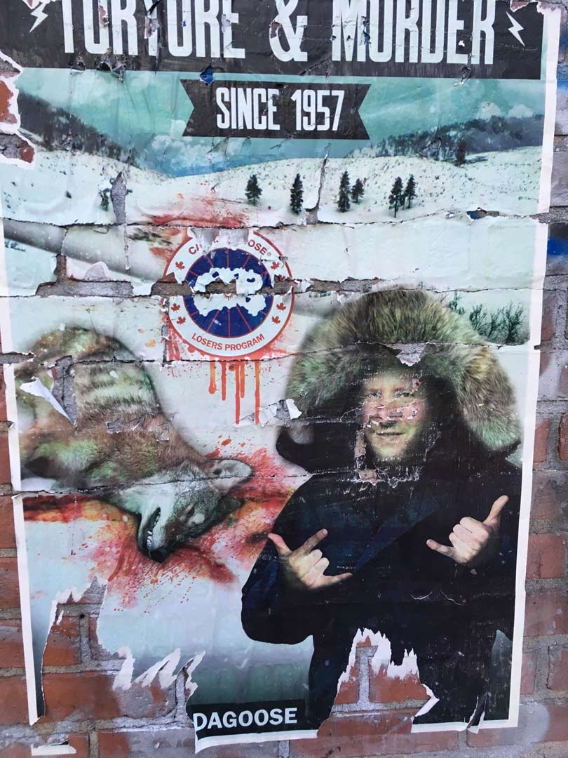 Eine Schar dummer Gänse in Canada Goose Eine Schar dummer Gänse in Canada Goose