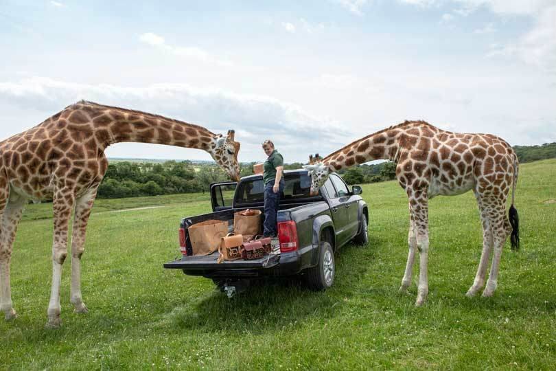 Cambridge Satchel Company: neue Giraffenkollektion für den Tierschutz Cambridge Satchel Company: neue Giraffenkollektion für den Tierschutz