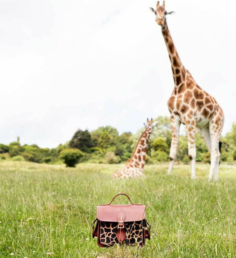 Cambridge Satchel Company: neue Giraffenkollektion für den Tierschutz Cambridge Satchel Company: neue Giraffenkollektion für den Tierschutz