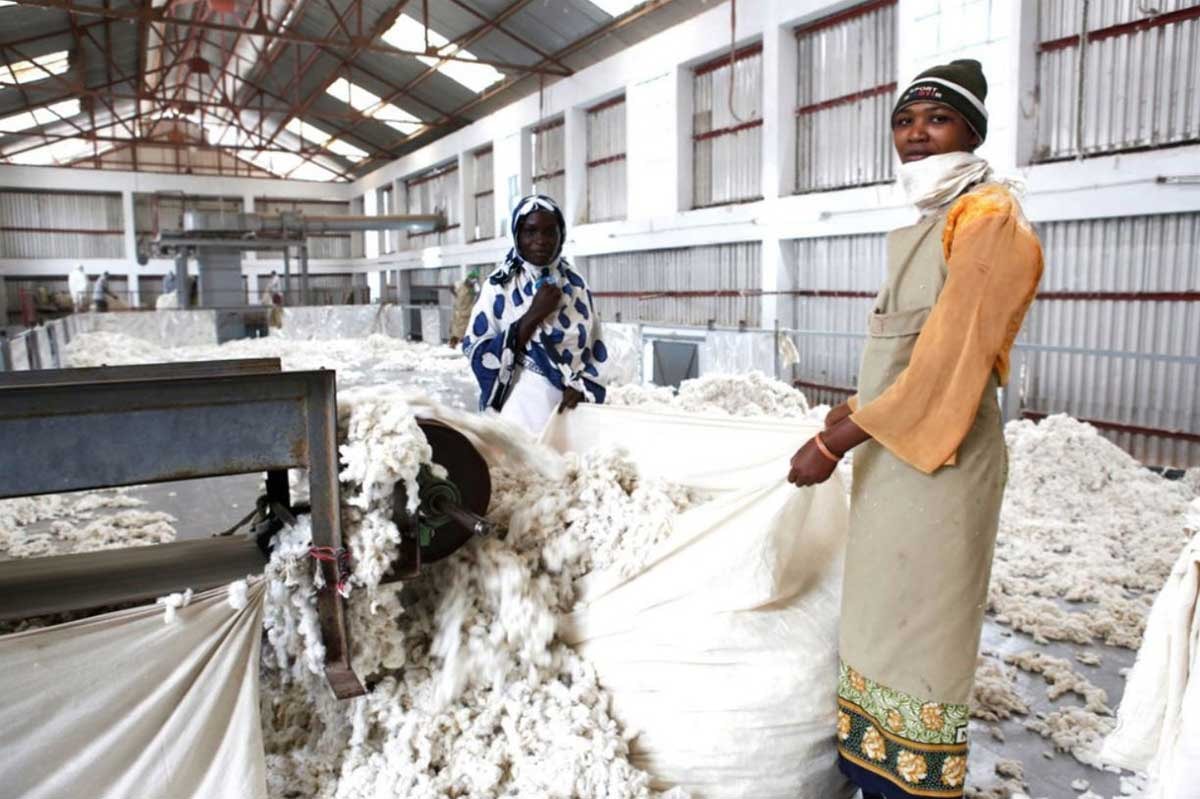 Cotton Ranking 2020: Adidas führt, deutsche Unternehmen auf dem Vormarsch Cotton Ranking 2020: Adidas führt, deutsche Unternehmen auf dem Vormarsch